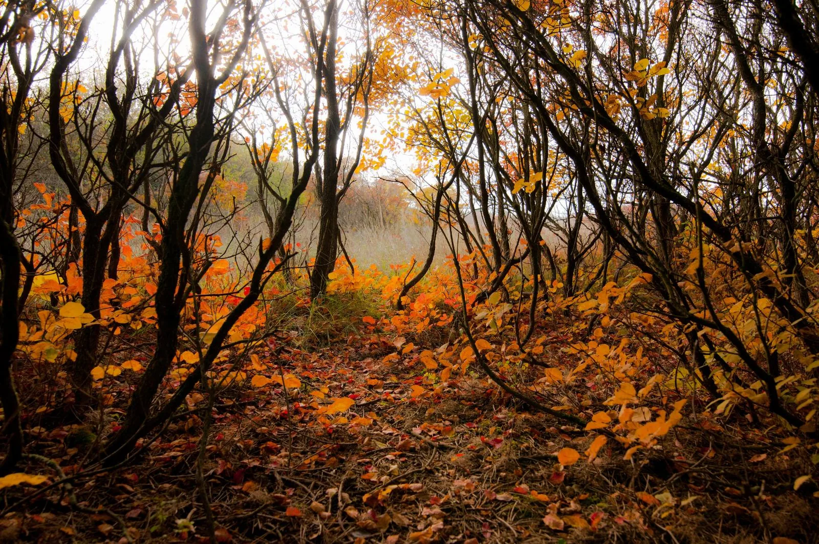 Fotó: Pesty Márton