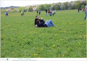 Fotók, Útirány.hu: