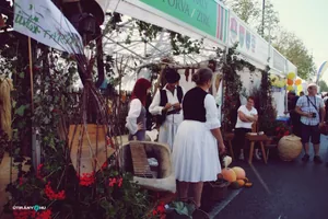 Nemzeti Vágta, Szombati képek. Fotó: Útirány.hu