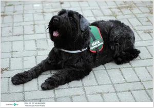 Fotók, Útirány.hu