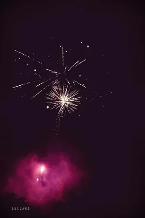 Nyárbúcsúztató főzőverseny, Fotó: LuiLand 