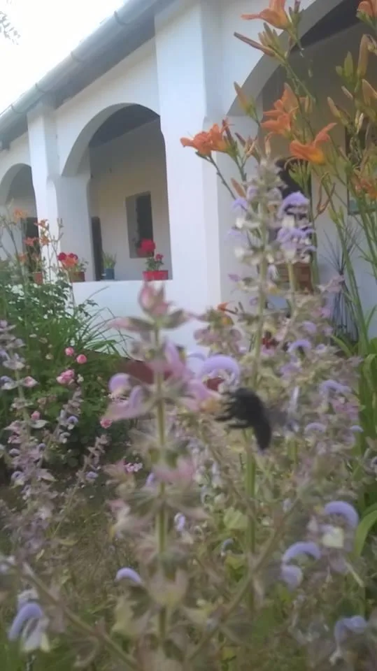 Képek: Jásdi Tájház 2020 előtt