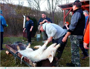 Fotók, Útirány.hu