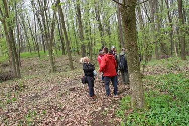 Képek a 2017-es rendezvényről: