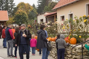 Fotók 2 album: Babai Lalinda
