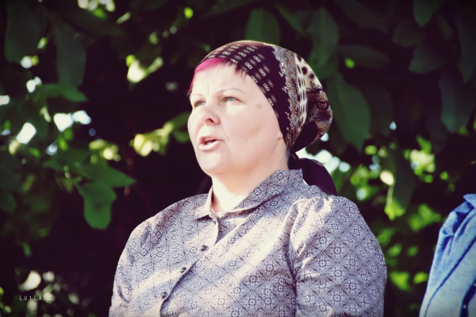 Falunap Fotó: LuiLand