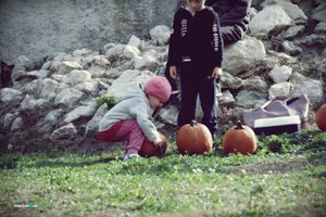 Tökfesztivál 2018. Fotók: Útirány.hu