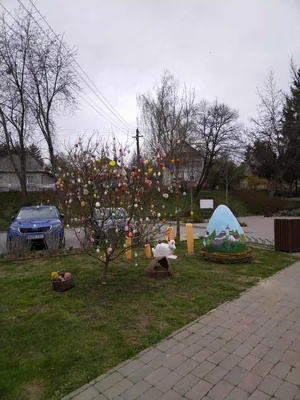 Fotók, Vadon Vándorai 