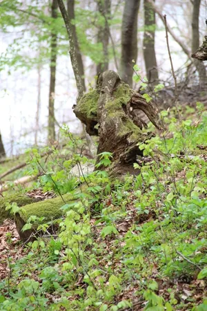 Fotók és kisfilm: Útirány.hu