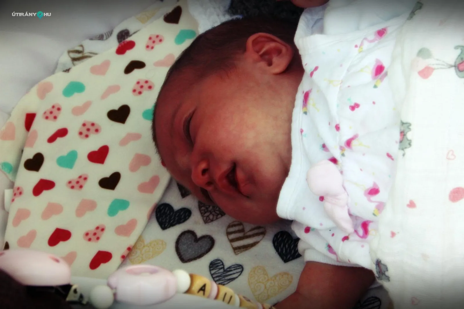 Falunap 2019 / Fotók: Útirány.hu