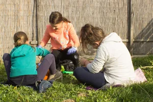 Tökfesztivál 2018. Képek: Babai Lalinda