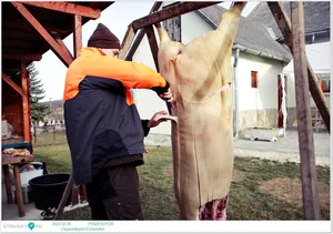 Fotók, Útirány.hu