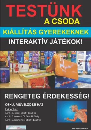 Testünk a csoda kiállítás gyerekeknek borítóképe