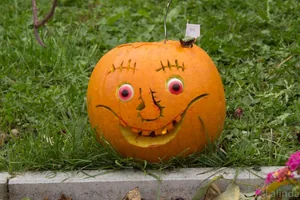 Fotók 2 album: Babai Lalinda