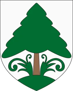 Fenyőfő borítóképe