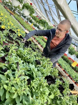 Szautner Kertészet borítóképe