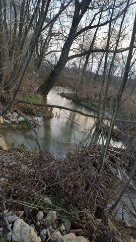 Hódok munkássága Porván