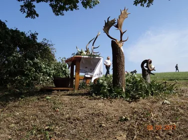 Fotó: Horváth Attila