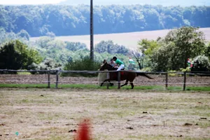 2019 Bakonyi Vágta. Fotók: Útirány.hu