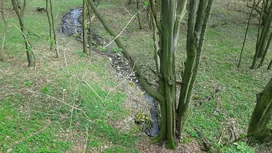 Kő kút borítóképe