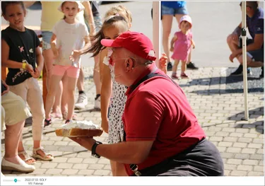 VIII. Sólyi Falunap