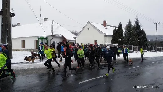 'Tájfutás 2018 december' cikk borítóképe