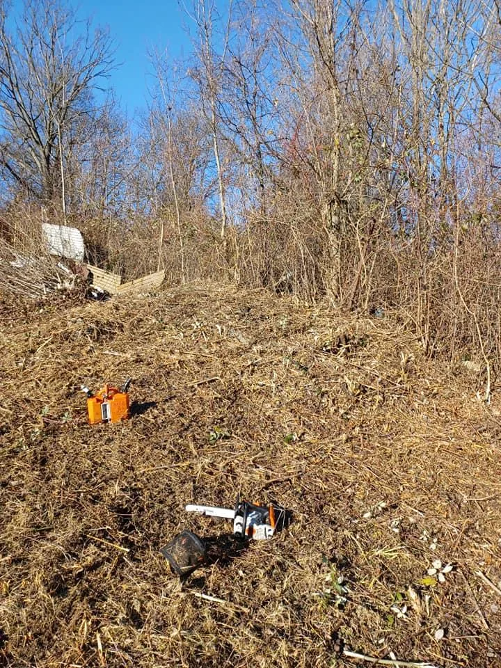 Elhanyagolt terület megtisztítása volt a feladat