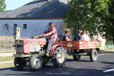 Szüreti felvonulás és utcabál