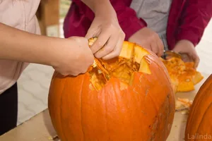 Fotók 1 album: Babai Lalinda