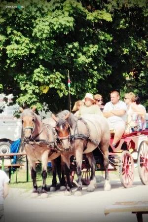 Falunap 2019 / Fotók: Útirány.hu