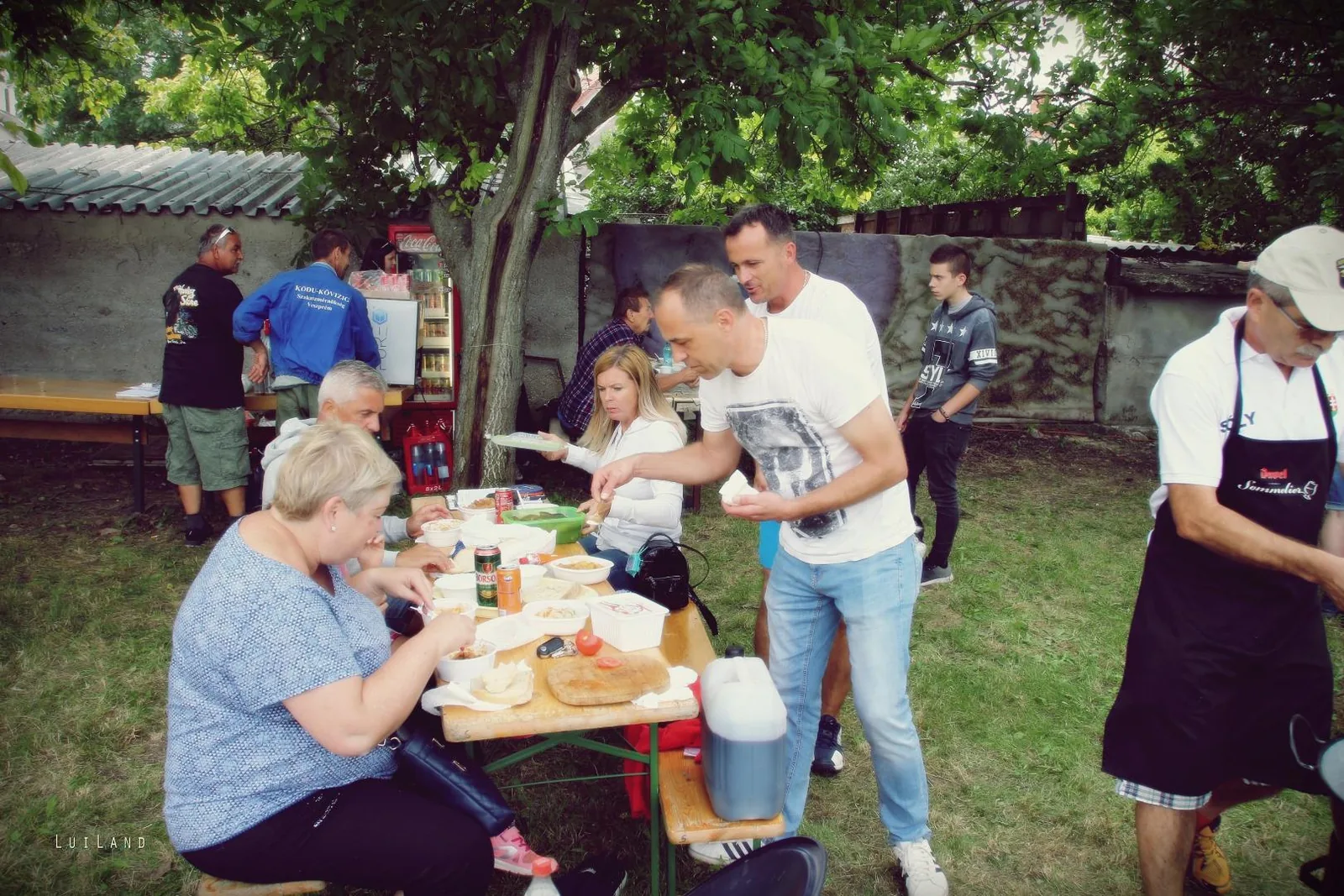 Falunap Fotó: LuiLand