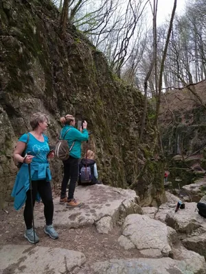 Fotók, Vadon Vándorai 