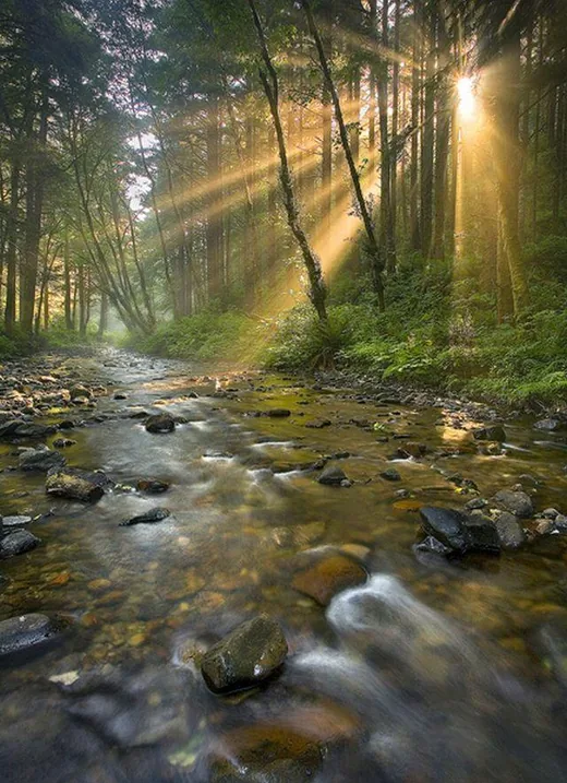 'Ezért született az Útirány' cikk borítóképe