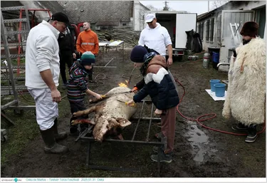  Öskü és Martos – Testvér Toros Fesztivál
