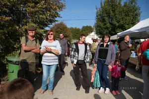 Kora délután, fotók: BakonyiHírek