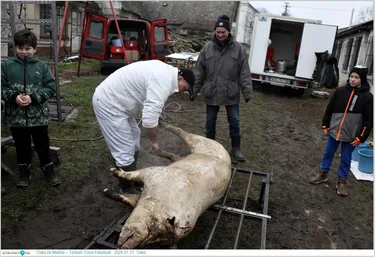  Öskü és Martos – Testvér Toros Fesztivál