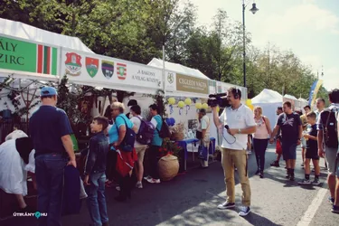 Nemzeti Vágta, szurkoljunk együtt a Bakonynak!