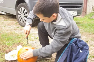 Töklámpás Parádé