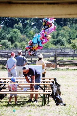 2019 Bakonyi Vágta. Fotók: Útirány.hu