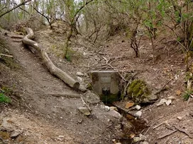 Anikó-forrás borítóképe