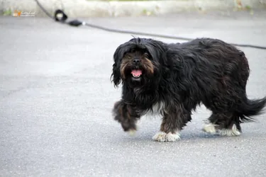 Maradj Otthon: Petőfi Színház előadása / Fotók: Útirány.hu