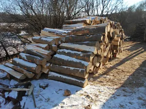 Szociális tűzifa kiosztása