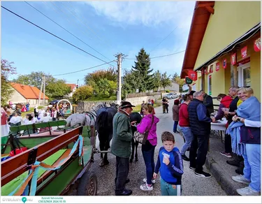 Szüreti felvonulás és Bál