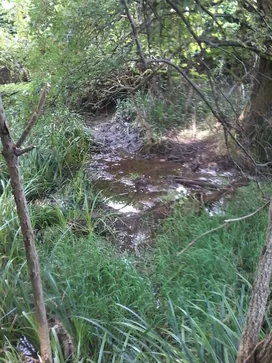 Vajalforrás borítóképe