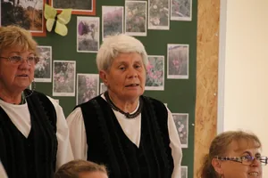 2017 Ösbő Vezér napok /péntek/, képekben.