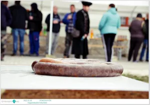 Fotók, Útirány.hu