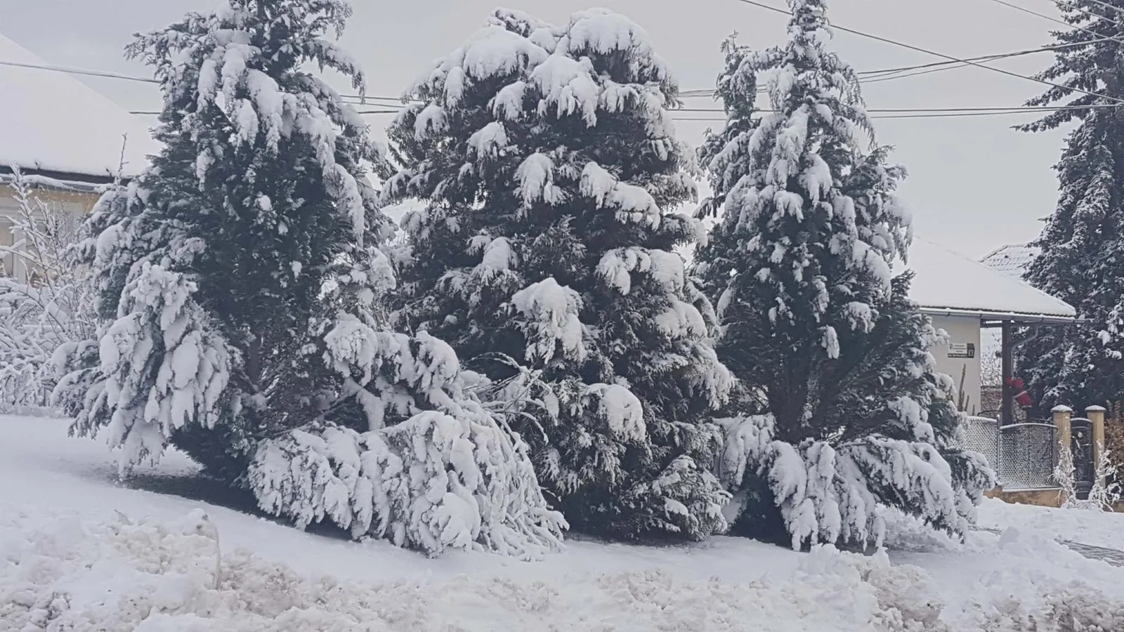 Fotó: Veinperlné Kovács Andrea