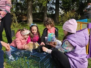 Képek az eseményről, Fotók: Önkormányzat