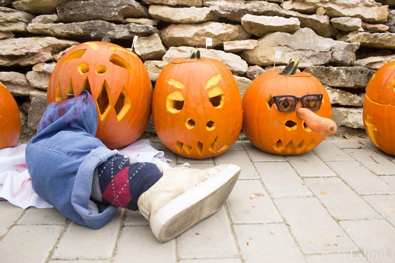 Fotók 2 album: Babai Lalinda