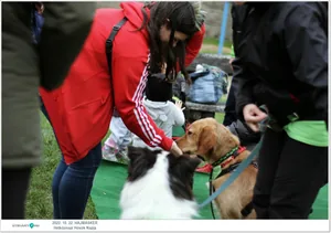 Fotók, Útirány.hu